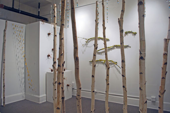 gallery view